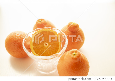 Born in Florida Mineo La Orange 123938223