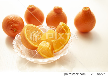 Born in Florida Mineo La Orange 123938224