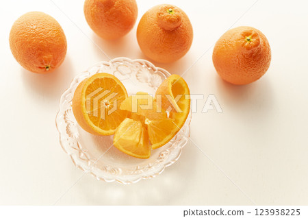 Born in Florida Mineo La Orange Born in Florida Mineo La Orange 123938225