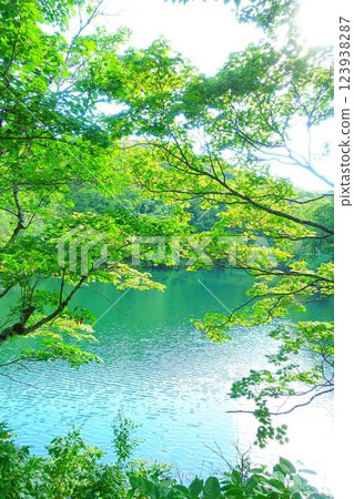 多科沼澤藏王鮮綠 123938287