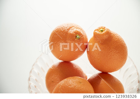 Born in Florida Mineo La Orange 123938326