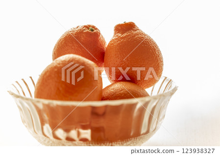 Born in Florida Mineo La Orange 123938327