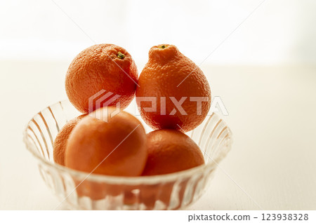 Born in Florida Mineo La Orange 123938328