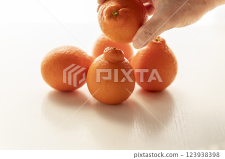 Born in Florida Mineo La Orange 123938398