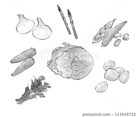 Spring vegetable illustrations in monochrome Spring vegetable illustrations in monochrome 123938718