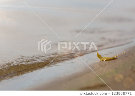 Lonely yellow autumn leaf on the lake shore Lonely yellow autumn leaf on the lake shore 123938771