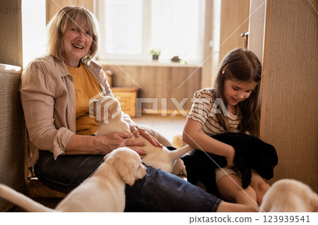 A mature woman in casual clothes laughs and strokes puppies. A little girl takes care of cute Labradors. Grandma and granddaughter have fun with the dogs at home. 123939541