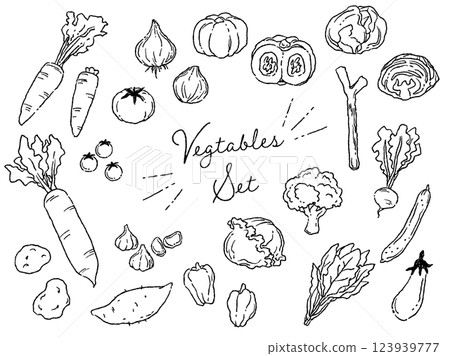 A vector illustration set of stylish and casual vegetables (line drawings) 123939777