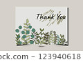 Card thank you organic hand drawn eucalyptus plant art template 123940618