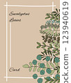 Card template organic hand drawn eucalyptus leaves art design 123940619