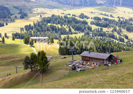 Alpe di Siusi Seiser Alm panoramic view 123940657