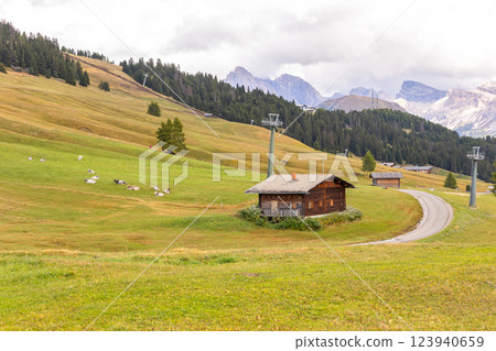 Dolomites Alpe di Siusi, Italy landscape, autumn Dolomites Alpe di Siusi, Italy landscape, autumn 123940659