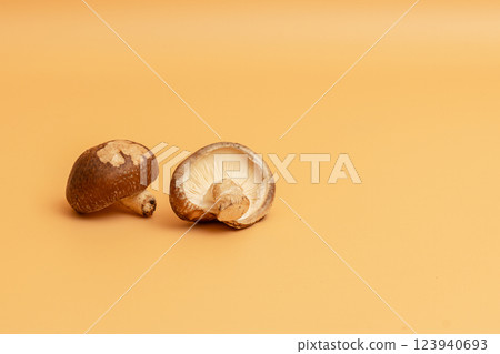 香菇和橘色背景 123940693