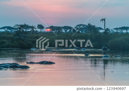 Sunrise behind a hippo pool Sunrise behind a hippo pool 123940697