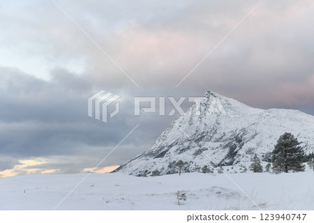 Arctic Norway in Winter 123940747