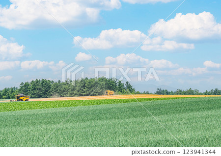 北海道夏日里，機械收割的田地與蔚藍的天空形成鮮明對比（圖） 123941344