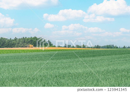 北海道夏日里，機械收割的田地與蔚藍的天空形成鮮明對比（圖） 123941345