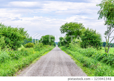 一條筆直的未鋪砌道路（泥土圖像） 123941348