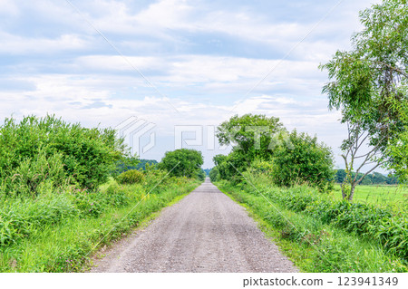 一條筆直的未鋪砌道路(泥土圖像) 一條筆直的未鋪砌道路(泥土圖像) 123941349