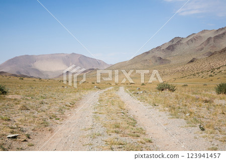 Landscape from remote region of Mongolia. Road to Altai mountains, Oigor valley Landscape from remote region of Mongolia. Road to Altai mountains, Oigor valley 123941457