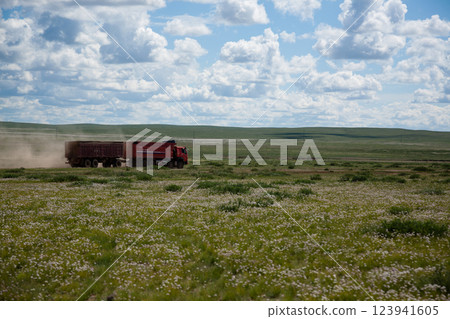 Red truck with mining cargo crosses the Gobi Desert, Mongolia 123941605