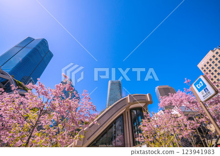 Tokyo cityscape in Japan: Cherry blossoms...towards a new era...view of Azabudai Hills bustling with foreign tourists = March 7, 2025 123941983