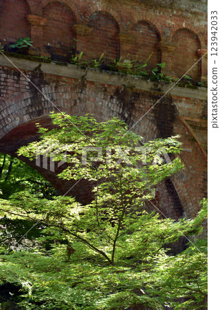 Fresh green canals Fresh green canals 123942033