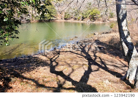 一碧湖初春清涼景色 一碧湖初春清涼景色 123942190