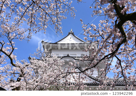 Sakura Castle 123942296
