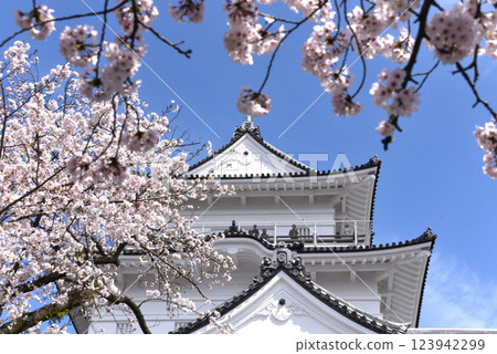 Castle cherry blossom 123942299