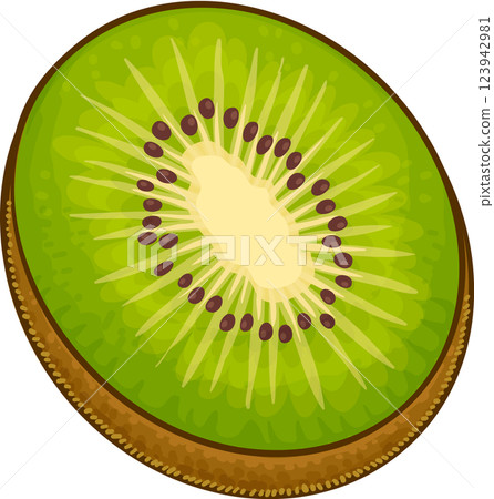 Kiwi Fruit Colored Detailed Illustration. Organic natural nutritional healthy food ingredient, vegetarian diet product.  123942981