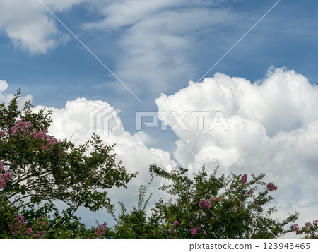 夏天藍天和積雨雲 夏天藍天和積雨雲 123943465