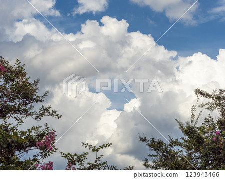 夏天藍天和積雨雲 夏天藍天和積雨雲 123943466