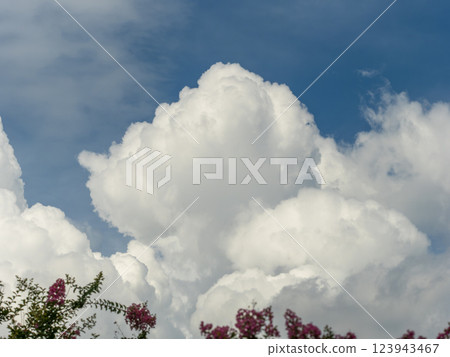 夏天藍天和積雨雲 夏天藍天和積雨雲 123943467