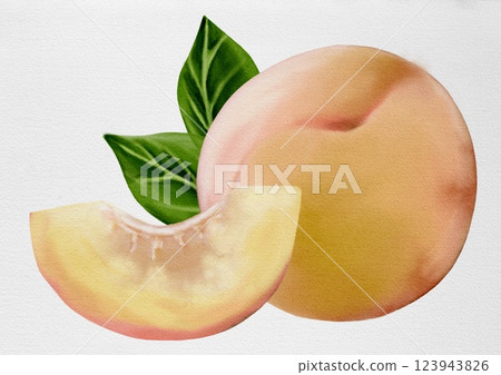 Vibrant peach watercolor design ideal for textile and packaging applications Vibrant peach watercolor design ideal for textile and packaging applications 123943826