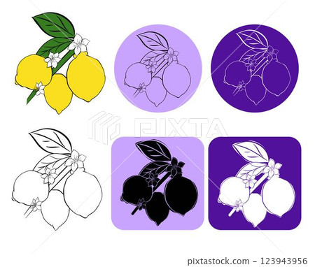 Contour of branch with fruits of citrus fruit lime or lemon, hand drawn sketch logo , isolated, white background. Vector graphic line ink illustration 123943956