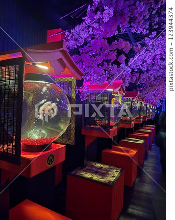 Beautiful goldfish 123944374