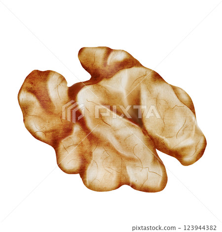 Walnut watercolor. Hand drawn kernel without shell on white background. Food clip art. Ideal for natural products and cosmetics packaging design Walnut watercolor. Hand drawn kernel without shell on white background. Food clip art. Ideal for natural products and cosmetics packaging design 123944382