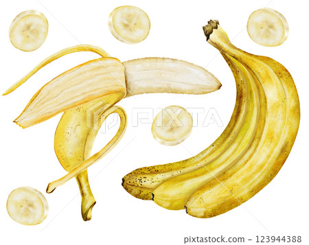 Banana set watercolor. Hand drawn ripe tropical fruit. Clip art isolated on white background realistic exotic plant. Ideal for designing menus, price tags, labels and packaging of natural cosmetics 123944388