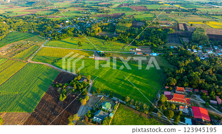 Aerial view of A field of yellow sunflowers as far as the eye can see Aerial view of A field of yellow sunflowers as far as the eye can see 123945195