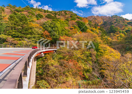 [靜岡縣] 國道414號線新天木隧道附近的紅葉、水近 123945459