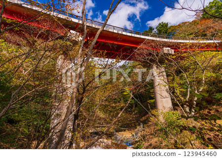 [Shizuoka Prefecture] Autumn leaves near the Shin-Tengi Tunnel on National Route 414, Mizuchika 123945460