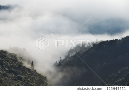 A mountain enveloped in a sea of clouds (Izumo City) 123945551