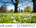 Sunny day in a lush green park with blooming trees 123945917