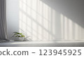Sunlit room with a plant and draped curtain. 123945925