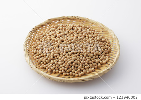 大豆豆 123946002