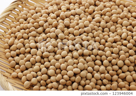 大豆豆 123946004