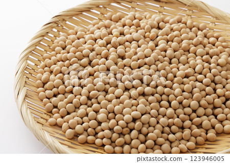 大豆豆 大豆豆 123946005