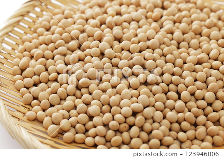 大豆豆 大豆豆 123946006
