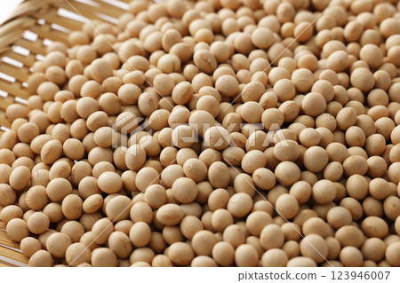 Soy beans Soy beans 123946007